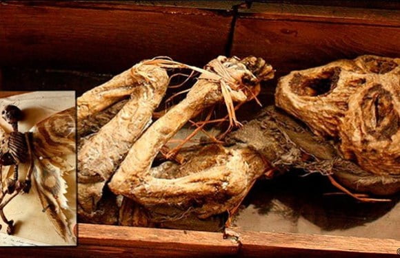 Bodies Of Mythical Creatures Unearthed In A Mysterious British Mansion